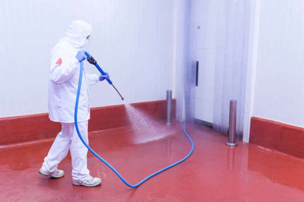 Best House Exterior Washing  in Wahneta, FL